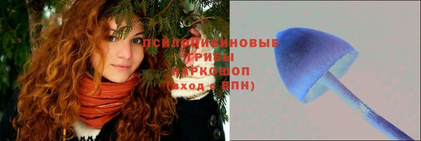 ECSTASY Алексин