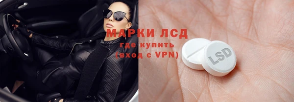 PSILOCYBIN Алзамай