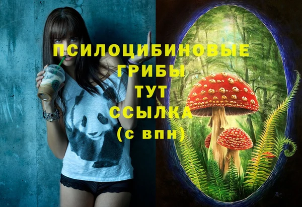крисы Алексеевка