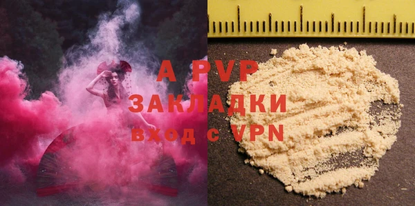 PSILOCYBIN Алзамай