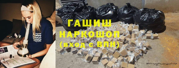 PSILOCYBIN Алзамай