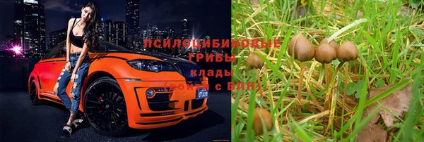 крисы Алексеевка