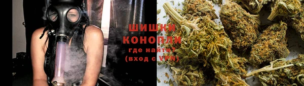 PSILOCYBIN Алзамай