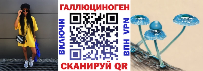 где можно купить наркотик Могоча Галлюциногенные грибы Psilocybe