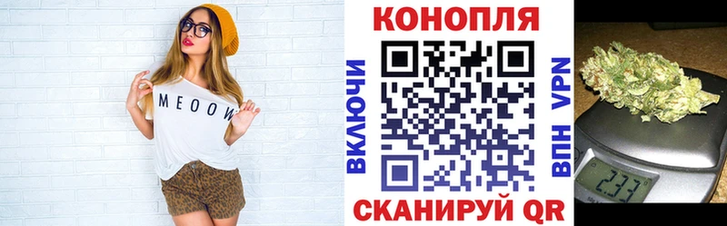 закладка  Могоча  Шишки марихуана Bruce Banner 